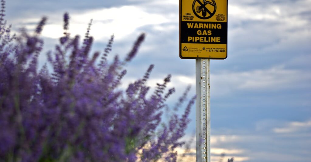 龍神からのサインを象徴する龍の形をした雲と光に包まれた空。自然の中に感じる神秘的なエネルギーの象徴