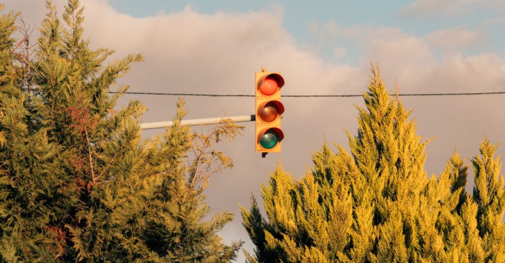 龍神の力を味方にし、光と調和の中で生きる姿を象徴する幻想的な龍のイメージ画像