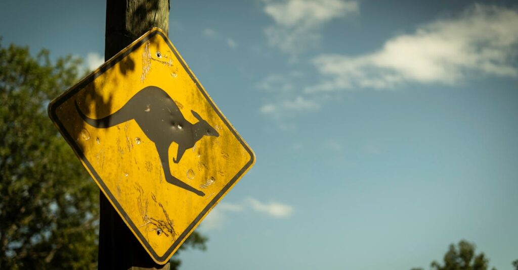 龍雲や光、水、風を通して現れる龍神のエネルギーを象徴する自然風景。空を流れる龍雲と輝く水面の幻想的な構図。