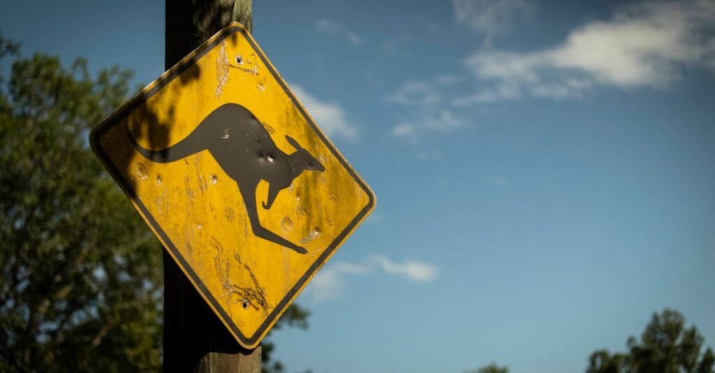 日常に現れる龍神のサインやシンクロニシティを象徴する幻想的な光と水のイメージ。