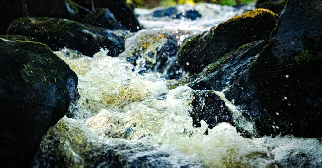 龍神の光が人の人生の流れを整え、神社の鳥居を通じて未来へ導く幻想的なエネルギーのイメージ。