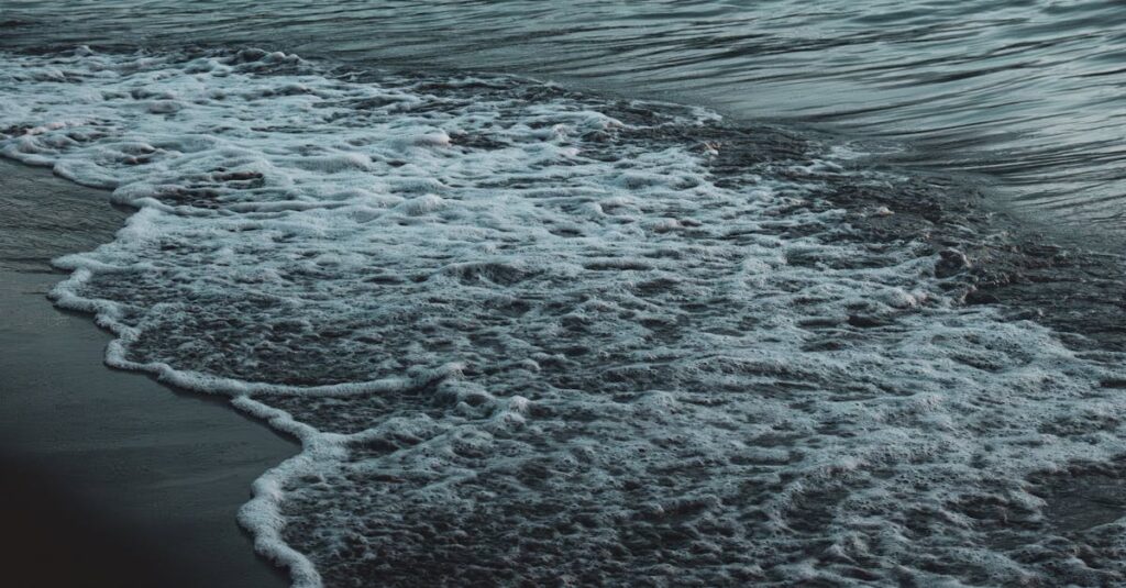 龍神とつながる祈り方や参拝場所、自然との調和を象徴する清らかな水辺と龍神のイメージ画像