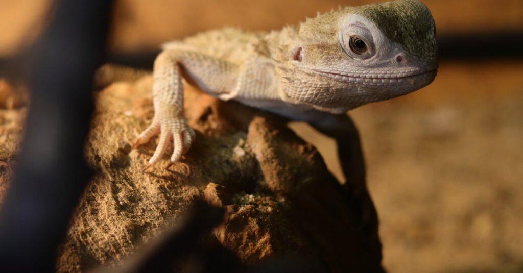 龍神のお守りや護符を手に取って選ぶ様子を表す写真風イメージ。金運・仕事運など目的別に並ぶ護符。