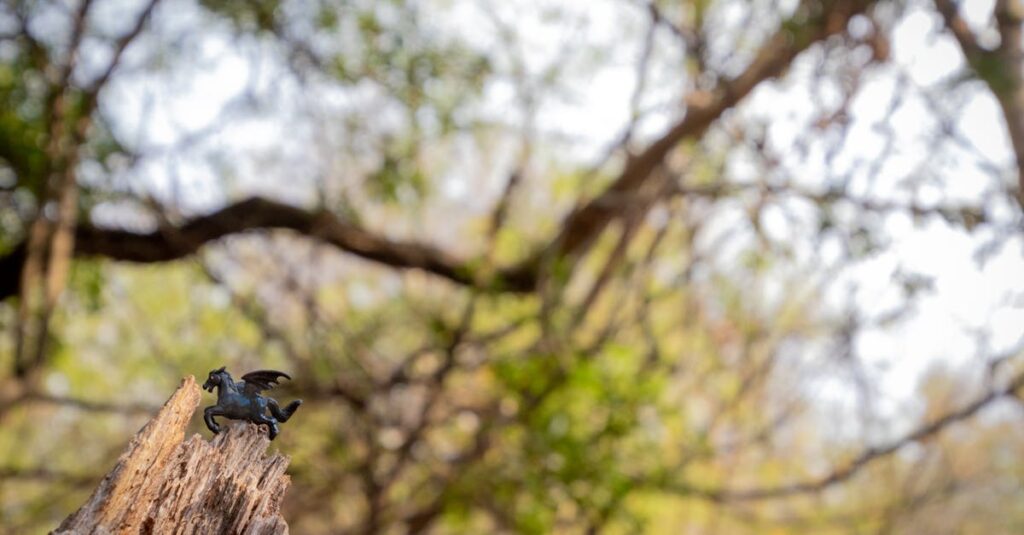 龍神のお守りや護符を手に取って選ぶ様子を表す写真風イメージ。金運・仕事運など目的別に並ぶ護符。