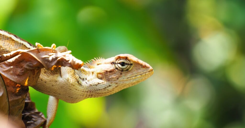 龍神のお守りや護符を手に取って選ぶ様子を表す写真風イメージ。金運・仕事運など目的別に並ぶ護符。
