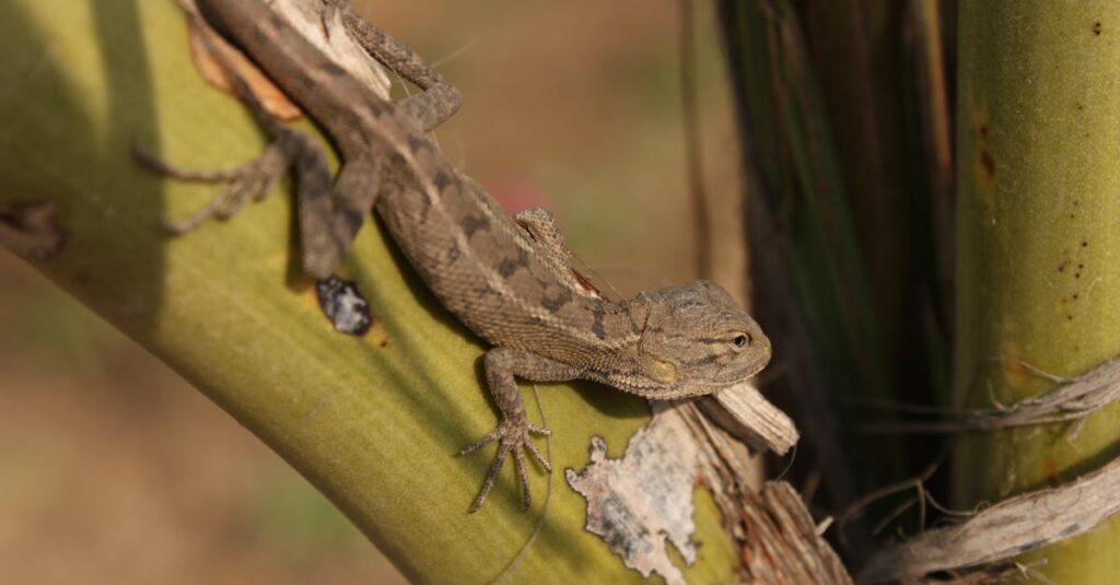夢で龍神様を見た後、現実の人生に光や流れの変化が訪れる神秘的なイメージ