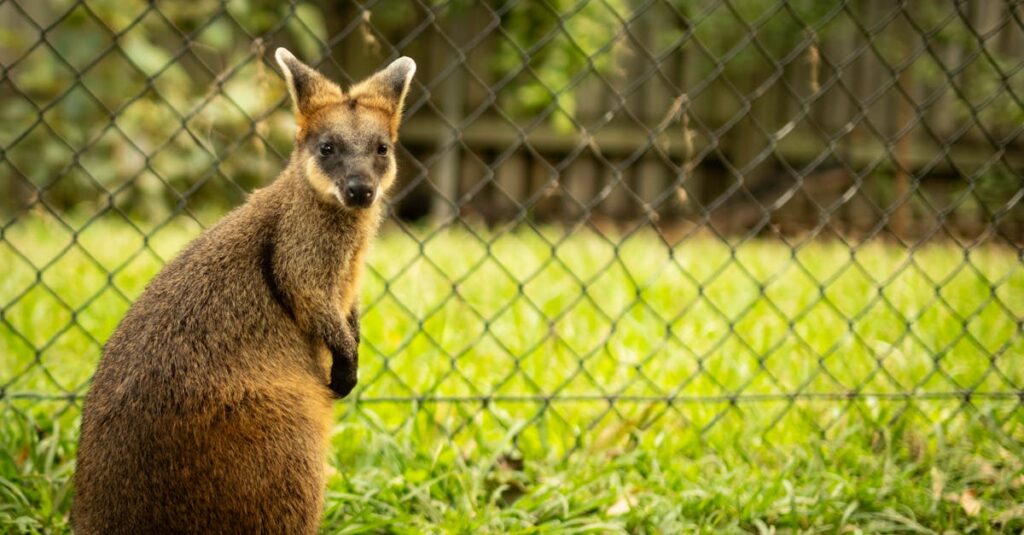 龍神の加護によって開運した人々の体験を象徴するイメージ。龍神の光が人々を照らし導く幻想的な構図。