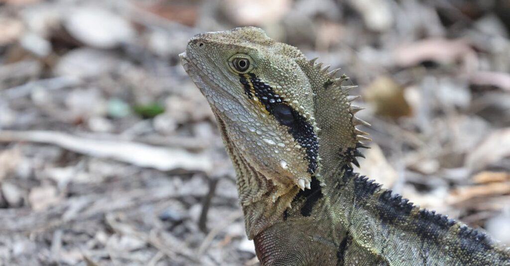 水と龍神のエネルギーが人の心や空間に流れ込むイメージを描いた浄化アート