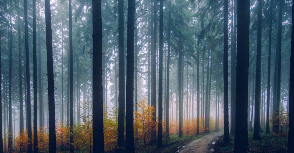 龍神が光の道を照らしながら人の人生に祝福と導きを与えているイラスト