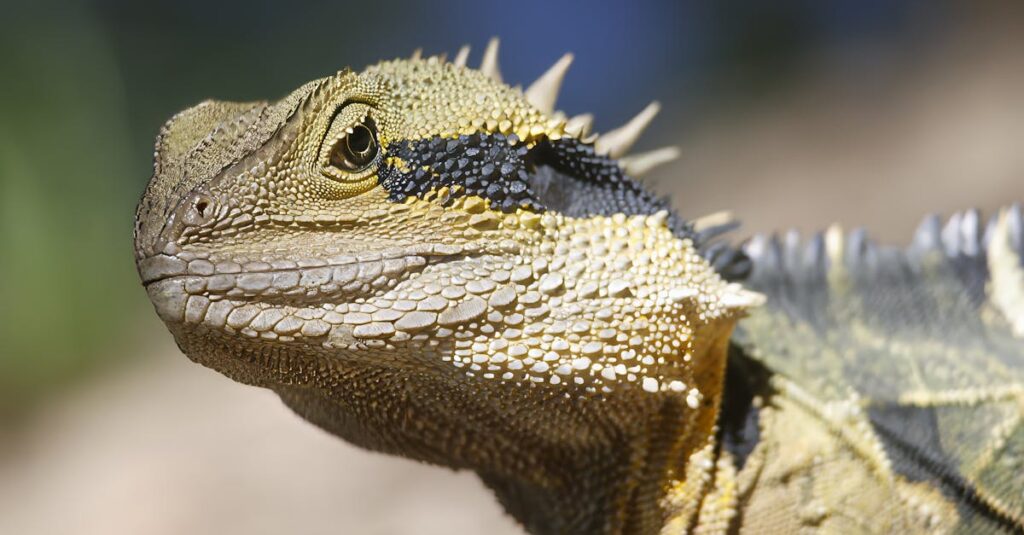 水と龍神のエネルギーが人の心や空間に流れ込むイメージを描いた浄化アート