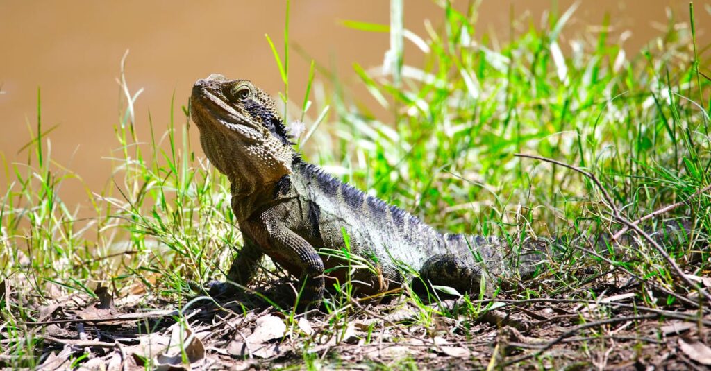 水を操る龍神が滝や雨の水気を通じてメッセージを送る神秘的なイラスト