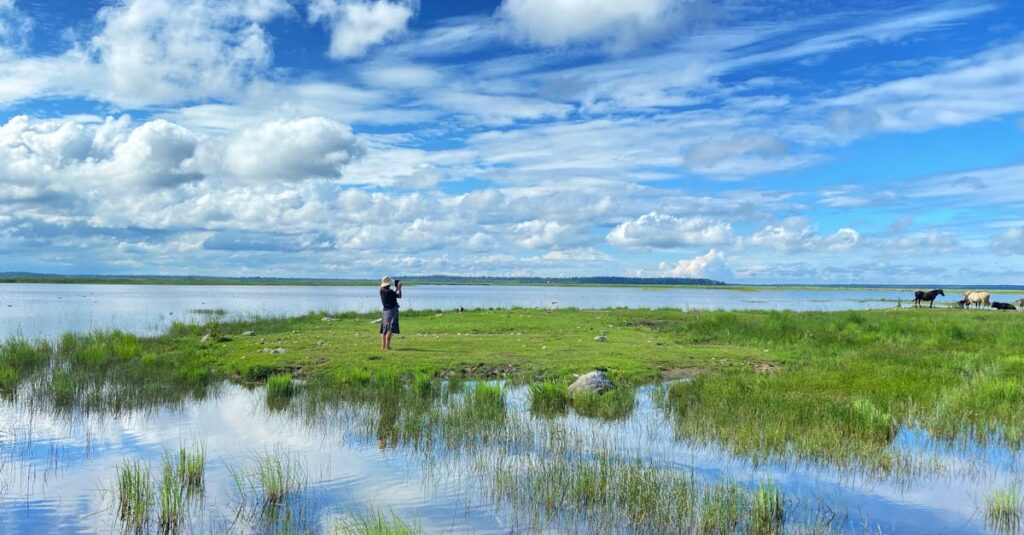 空に浮かぶ龍神雲を静かに撮影する人、光が雲を照らし神秘的に輝くスピリチュアルな風景
