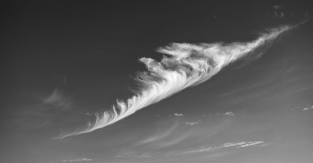 さまざまな形の龍神雲が空に浮かぶ、頭・昇り龍・巻き龍などを表現した幻想的な光景