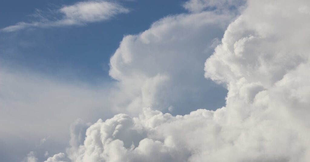 さまざまな形の龍神雲が空に浮かぶ、頭・昇り龍・巻き龍などを表現した幻想的な光景