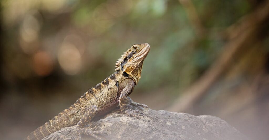 自然と人間の気が調和し、龍神エネルギーが循環する光の流れを描いたイメージ