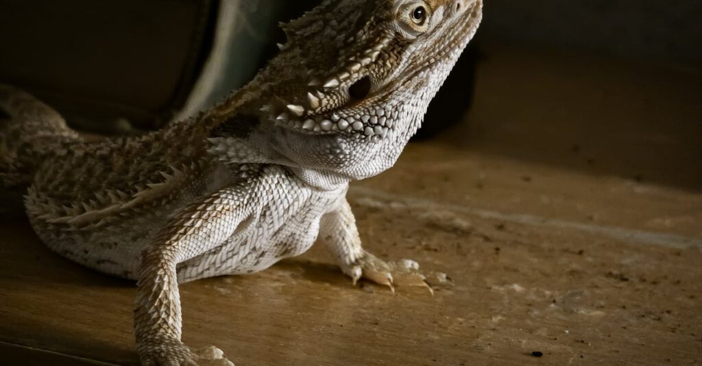 龍神のエネルギーが家全体を包み込み、光と調和が流れるスピリチュアルな空間