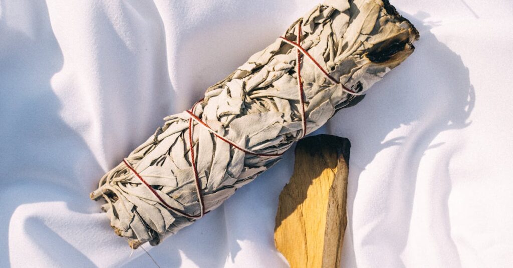 龍神インテリアを浄化するために光が差し込む空間を清める様子を描いた神秘的なアート