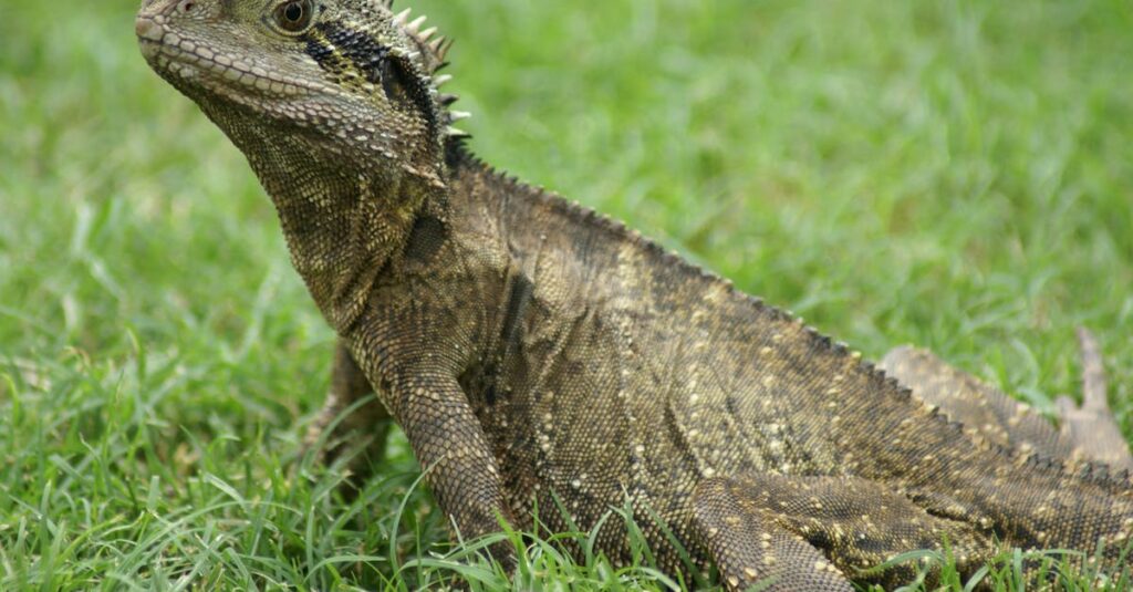 水を操る龍神が滝や雨の水気を通じてメッセージを送る神秘的なイラスト