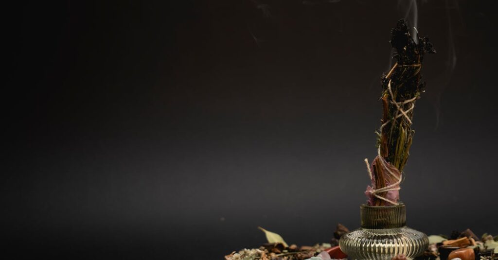 龍神の波動と共鳴する前に祈る人の心が光で整っていく幻想的な光景